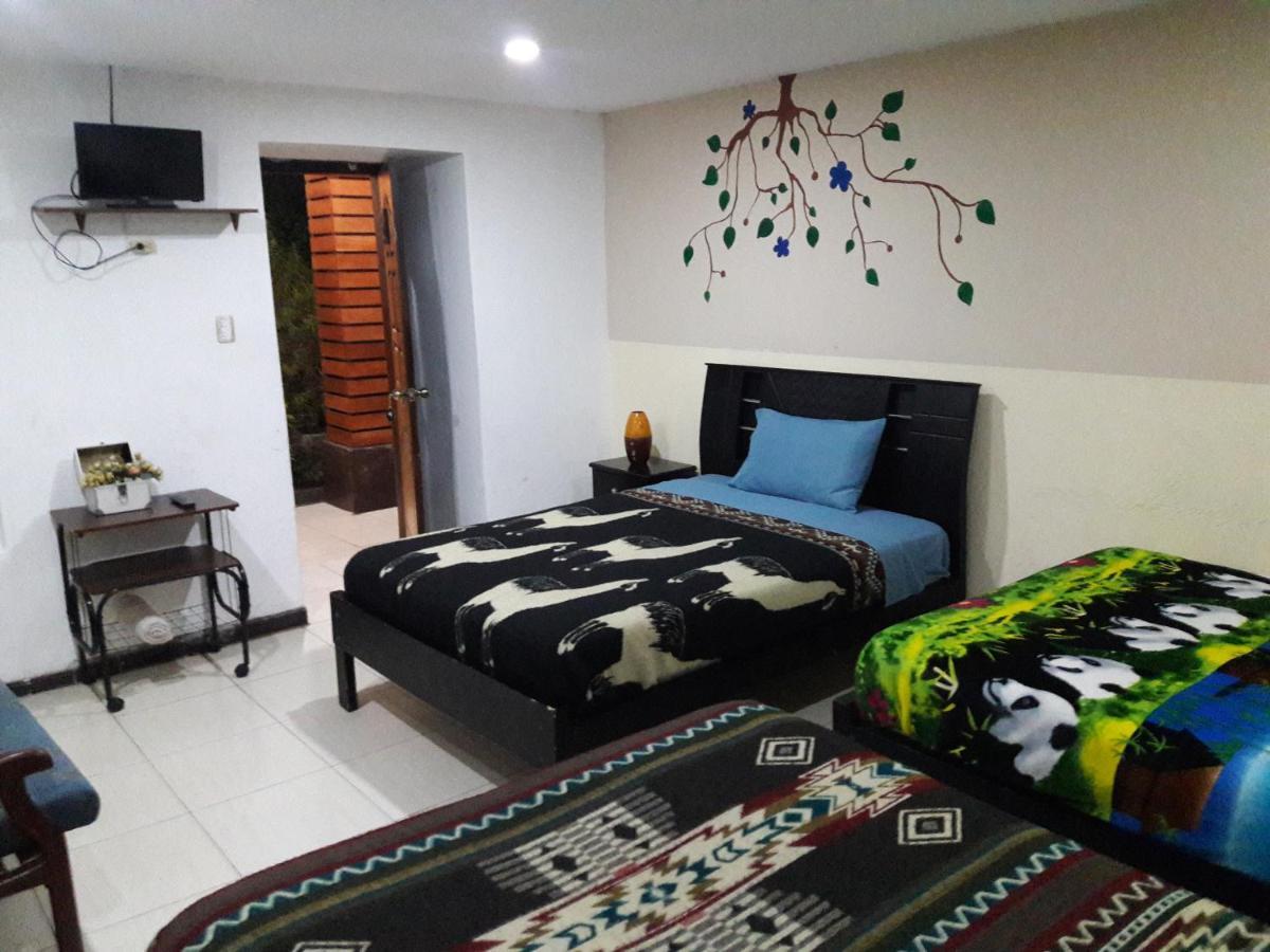 The Backpacker Hostal Ibarra Bagian luar foto